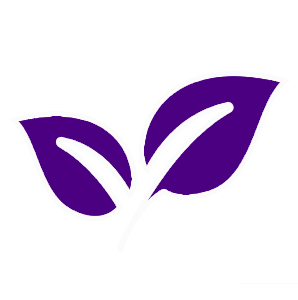 Environmental_Score_02